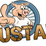 logo saustark